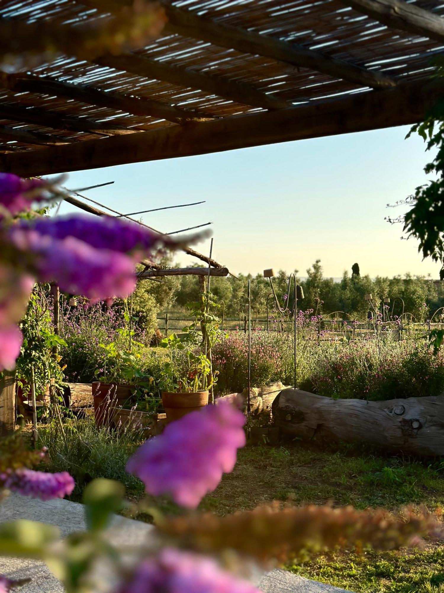 Tenuta Di Paternostro เวตรัลลา ภายนอก รูปภาพ